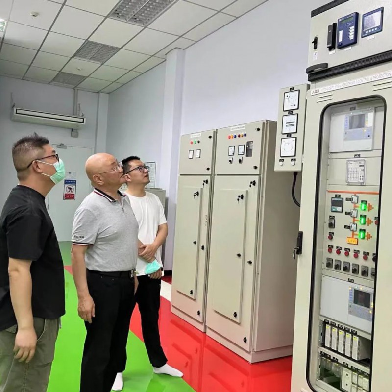 總投資超300萬美元！南國能源首個海外分布式光伏電站并網(wǎng)發(fā)電