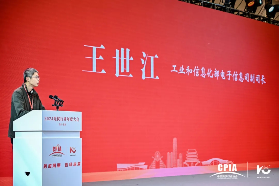 王王.webp.jpg